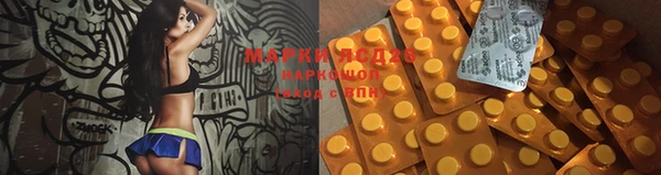 стаф Аркадак