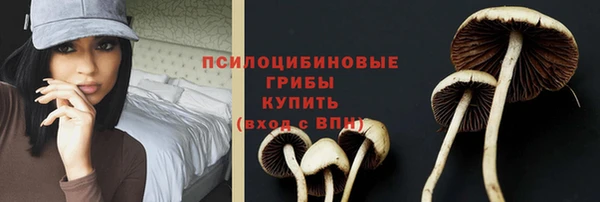 каннабис Арсеньев