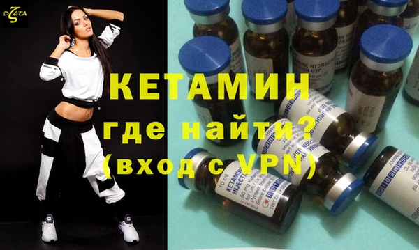 стаф Аркадак