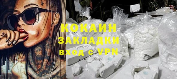 стаф Аркадак