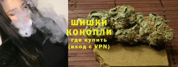 стаф Аркадак